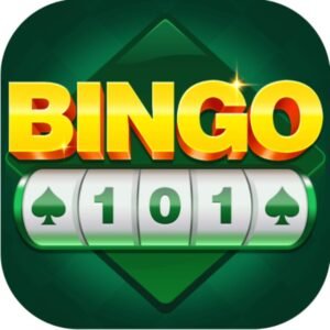 bingo 101
